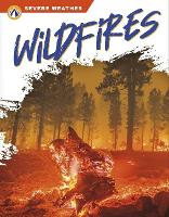Book Cover for Wildfires by Candice F. Ransom