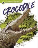 Book Cover for Crocodile by Golriz Golkar