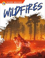 Book Cover for Wildfires by Candice Ransom