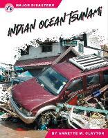 Book Cover for Indian Ocean Tsunami by Annette M. Clayton