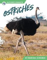 Book Cover for Ostriches. Hardcover by Marissa Kirkman