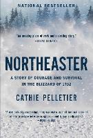 Book Cover for Northeaster by Cathie Pelletier