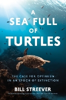 Book Cover for A Sea Full of Turtles by Bill Streever