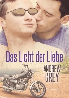 Book Cover for Licht der Liebe (Translation) by Andrew Grey