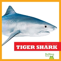 Book Cover for Tiger Shark by Jenna Lee Gleisner, Jenna Lee Gleisner