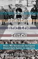 Book Cover for The Shelter and the Fence by Norman H. Finkelstein