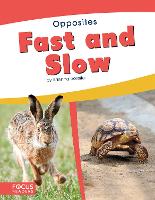 Book Cover for Fast and Slow by Brienna Rossiter
