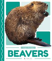 Book Cover for Pond Animals: Beavers by Matt Lilley