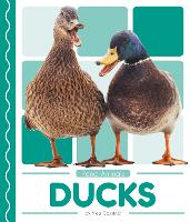 Book Cover for Pond Animals: Ducks by Meg Gaertner