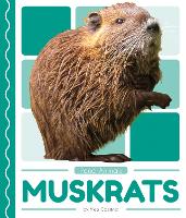 Book Cover for Muskrats by Meg Gaertner