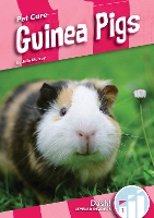 Book Cover for Pet Care: Guinea Pigs by Julie Murray