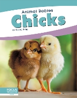 Book Cover for Chicks by Kelsey Jopp