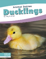 Book Cover for Ducklings by Meg Gaertner