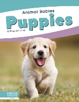 Book Cover for Puppies by Meg Gaertner