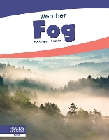 Book Cover for Weather: Fog by Brienna Rossiter