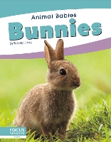 Book Cover for Animal Babies: Bunnies by Kelsey Jopp