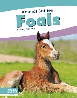 Book Cover for Animal Babies: Foals by Meg Gaertner