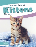 Book Cover for Animal Babies: Kittens by Meg Gaertner