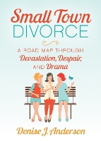 Book Cover for Small Town Divorce by Denise J. Anderson