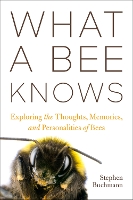 Book Cover for What a Bee Knows by Stephen L Buchmann