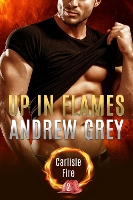 Book Cover for Up in Flames by Andrew Grey