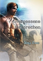 Book Cover for Unvergessene Versprechen by Amy Lane