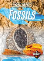 Book Cover for Fossils by Patrick Perish