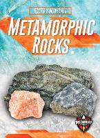 Book Cover for Metamorphic Rocks by Jenny Fretland VanVoorst