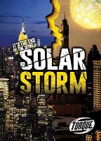Book Cover for Solar Storm by Allan Morey