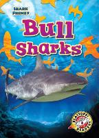 Book Cover for Bull Sharks by Rebecca Pettiford