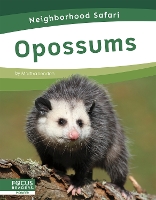Book Cover for Neighborhood Safari: Opossums by Martha London