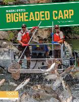 Book Cover for Bigheaded Carp by Martha London