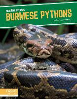 Book Cover for Burmese Pythons by Emma Huddleston