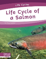 Book Cover for Life Cycle of a Salmon by Meg Gaertner