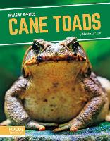 Book Cover for Cane Toads by Martha London