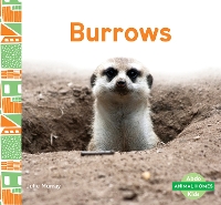 Book Cover for Animal Homes: Burrows by Julie Murray