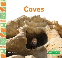 Book Cover for Caves by Julie Murray