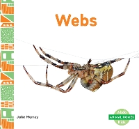 Book Cover for Webs by Julie Murray