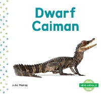 Book Cover for Mini Animals: Dwarf Caiman by Julie Murray