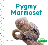 Book Cover for Mini Animals: Pygmy Marmoset by Julie Murray