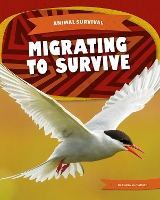 Book Cover for Migrating to Survive by Clara MacCarald