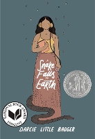 Book Cover for A Snake Falls to Earth by Darcie Little Badger