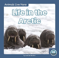 Book Cover for Animals Live Here: Life in the Arctic by Connor Stratton