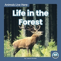 Book Cover for Animals Live Here: Life in the Forest by Connor Stratton