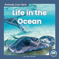 Book Cover for Animals Live Here: Life in the Ocean by Connor Stratton