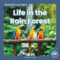 Book Cover for Animals Live Here: Life in the Rain Forest by Connor Stratton