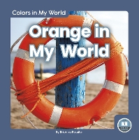 Book Cover for Colors in My World: Orange in My World by Brienna Rossiter