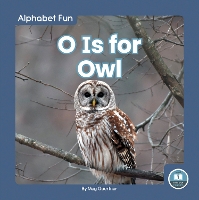 Book Cover for O Is for Owl by Meg Gaertner