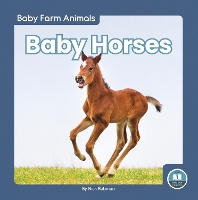 Book Cover for Baby Horses by Nick Rebman