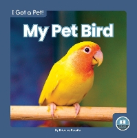Book Cover for My Pet Bird by Brienna Rossiter
